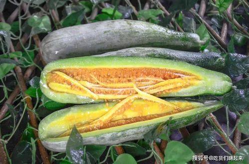 网红刘二萌吃瓜图片,趣味瞬间引网友热议