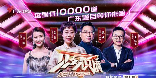 二辰爆料兄弟视频播放,视频播放背后的精彩故事